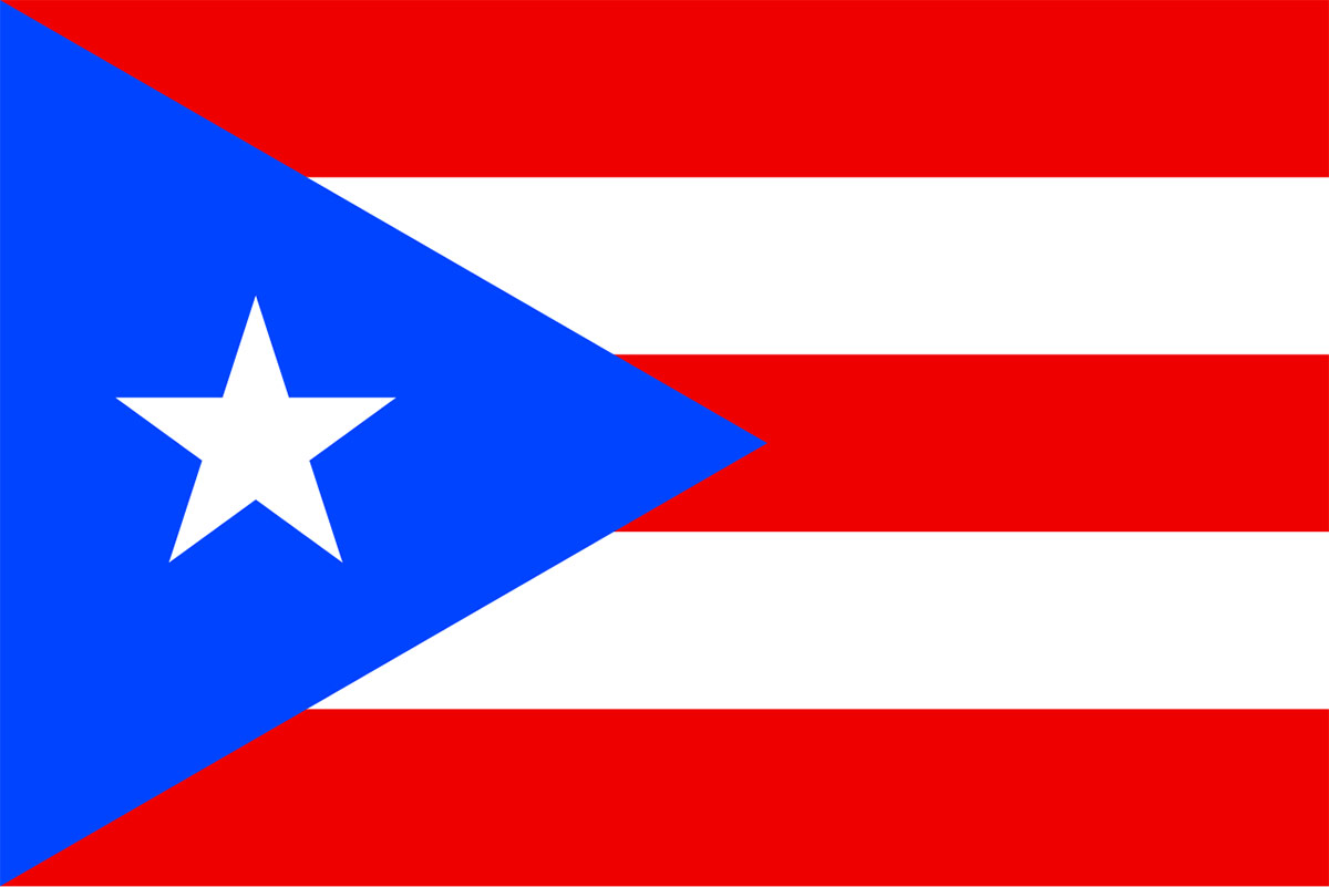 Puerto Rican Festival 