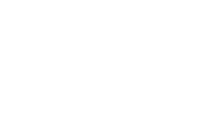 PVDFest Logo